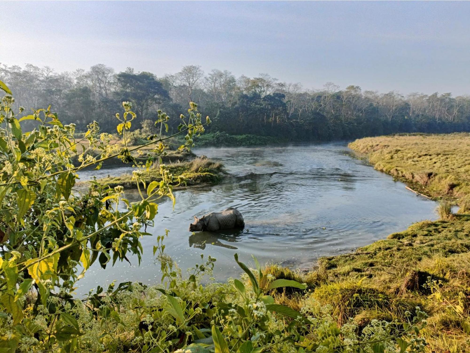 Hotel Tharu Garden And Beer Bar Читван Экстерьер фото