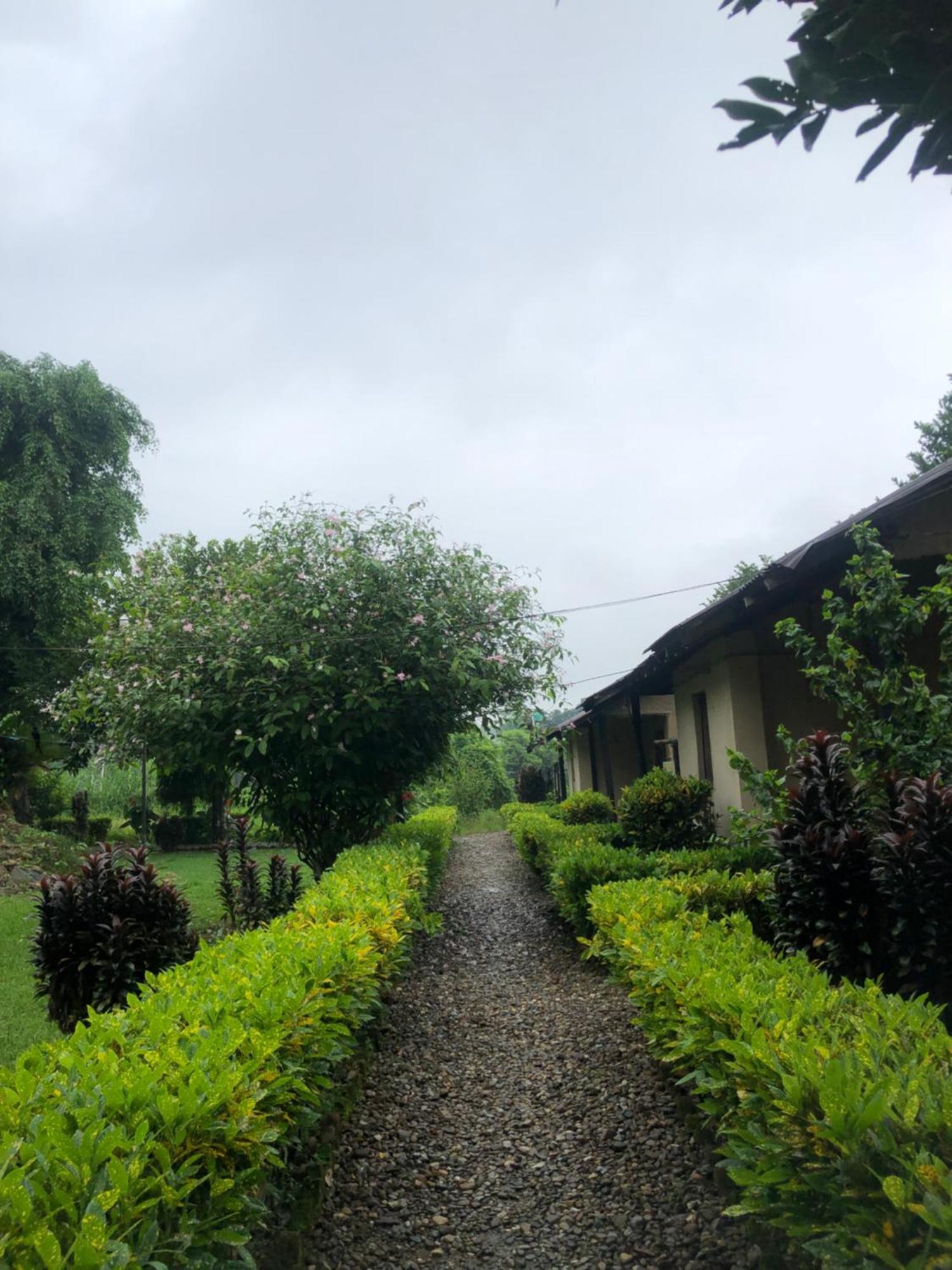 Hotel Tharu Garden And Beer Bar Читван Экстерьер фото
